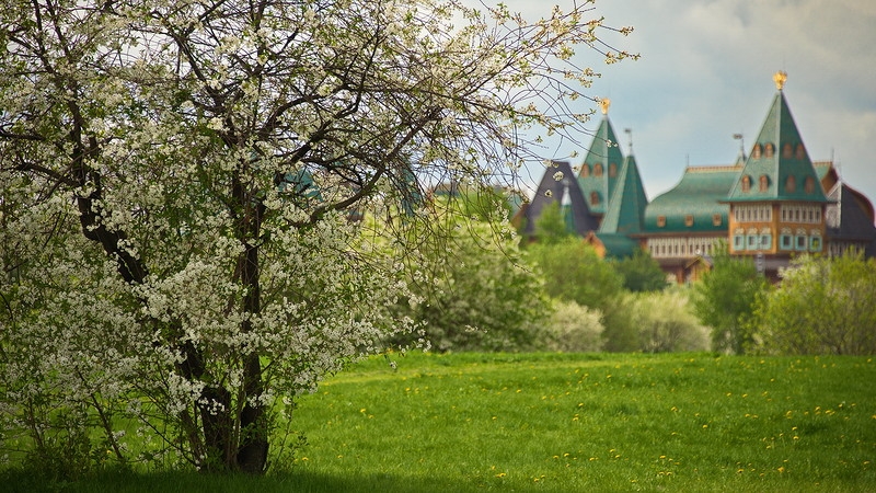 Где красивые места в Москве: 5 лучших цветущих садов - Красивые места в Москве