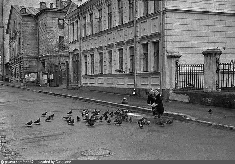 Красивые места в Москве: 7 любимых мест для прогулок Алексея Дедушкина - Места для прогулок в Москв